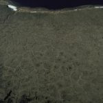 Arctic tundra under a wide sky