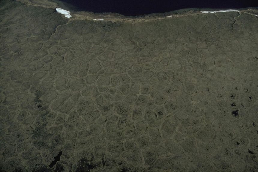 Arctic tundra under a wide sky