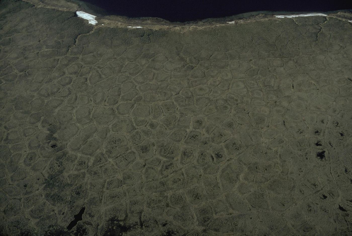 Arctic tundra under a wide sky