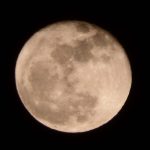 Photograph illustrating: The New Moon Race Is About Resources, Not Flags