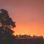 Photograph illustrating: What Circadian Science Says About Sleep, Light and Timing