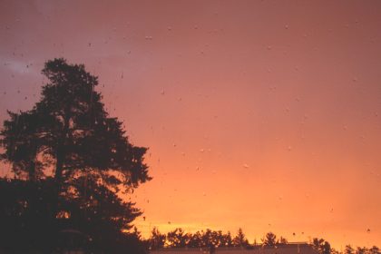 Photograph illustrating: What Circadian Science Says About Sleep, Light and Timing