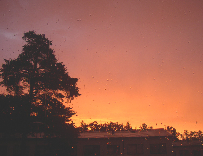 Photograph illustrating: What Circadian Science Says About Sleep, Light and Timing